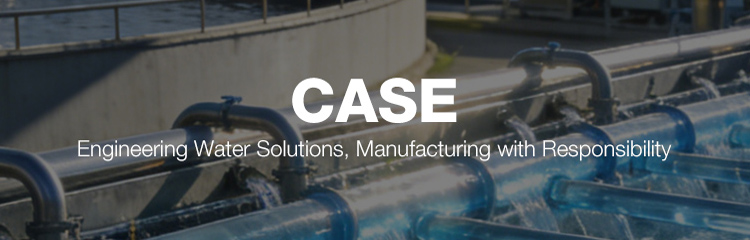 case